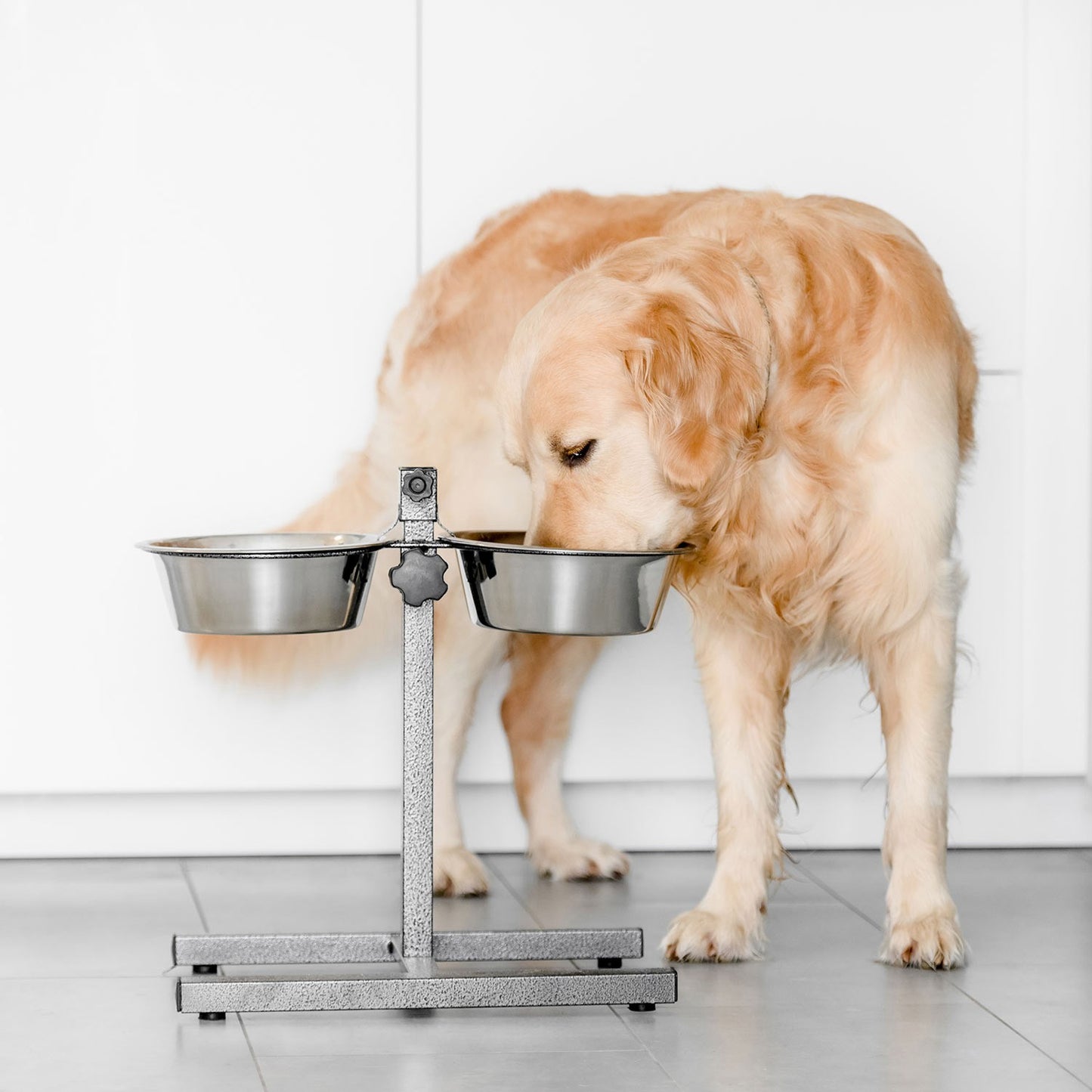 AqpetFriends Upper Doppia Ciotola In Acciaio Inox Con Supporto Regolabile Ad H