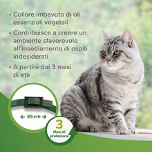 Beaphar Collare Antiparassitario Naturale all'olio di Neem per Gatti