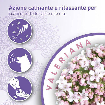 Beaphar No stress spot on Azione calmante e Rilassante Naturale per Cane