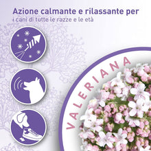 Beaphar No stress Collare Azione calmante e Rilassante con estratto di Valeriana Naturale per Cane