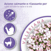 Beaphar No stress Spot on Gatto ad effetto calmante con estratti di Valeriana