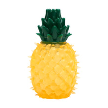 AqpetFriends Giochi Per Cani Cool It Refrigerante Ananas