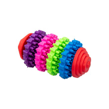 AqpetFriends Giochi Per Cani Dental Cilindro Colorato Di Gomma