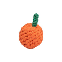 AqpetFriends Giochi Per Cani Rope Arancia In Corda Di Cotone