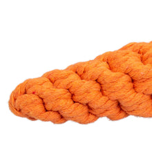 AqpetFriends Giochi Per Cani Rope Carota In Corda Di Cotone