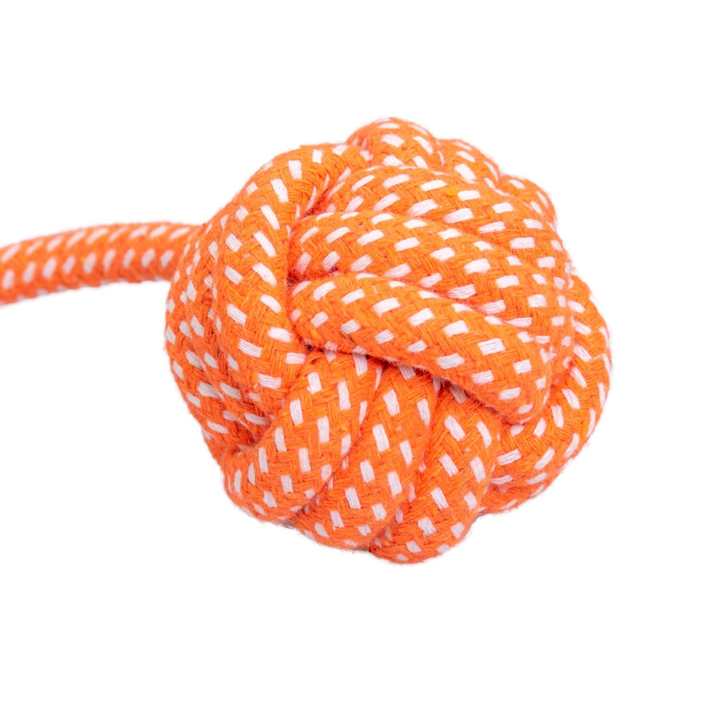 AqpetFriends Giochi Per Cani Rope Corda Con Palla In Cotone