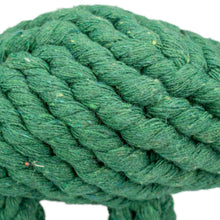 AqpetFriends Giochi Per Cani Rope Dinosauro In Corda Di Cotone