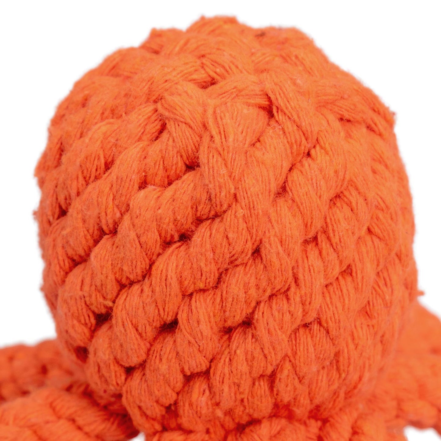 AqpetFriends Giochi Per Cani Rope Polipo In Corda Di Cotone