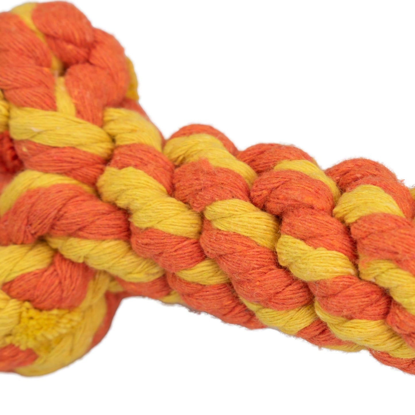 AqpetFriends Giochi Per Cani Rope Osso In Corda Di Cotone