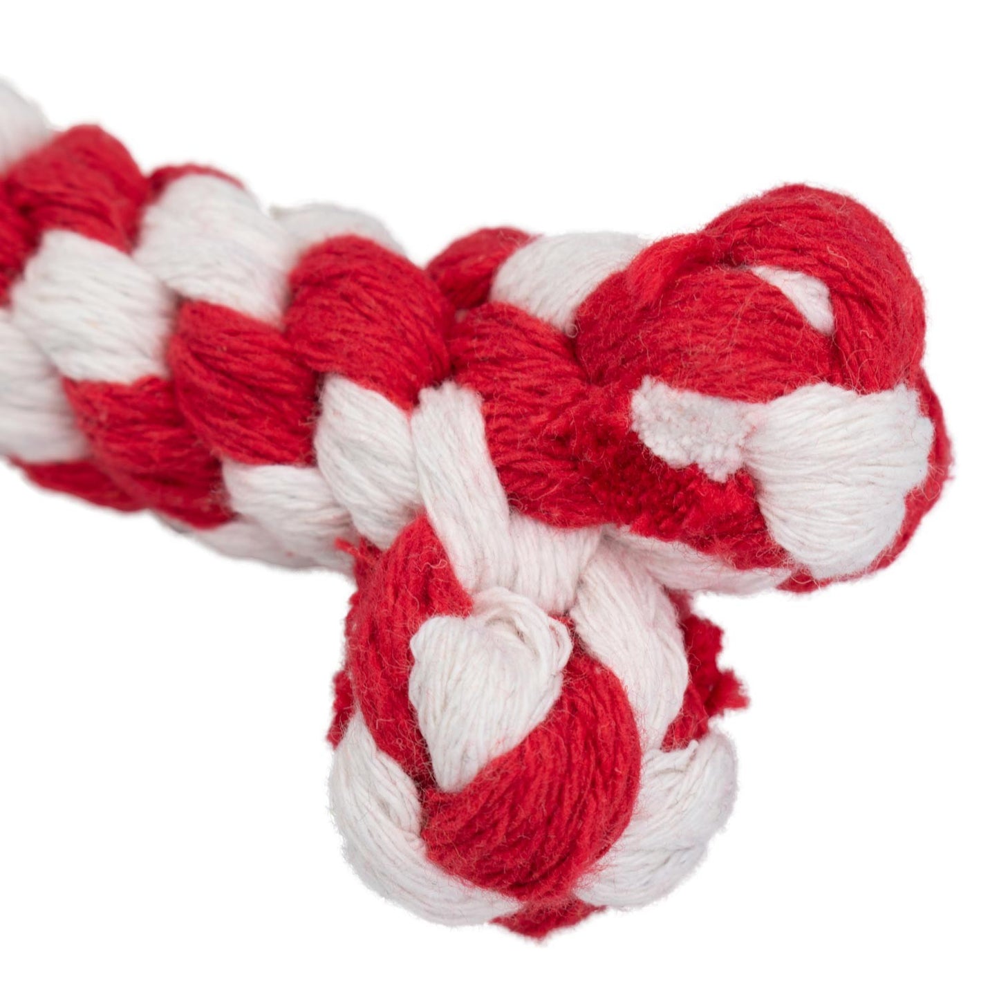 AqpetFriends Giochi Per Cani Rope Osso In Corda Di Cotone