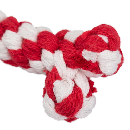AqpetFriends Giochi Per Cani Rope Osso In Corda Di Cotone