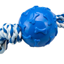 AqpetFriends Giochi Per Cani Smarty Pallina Con Corda