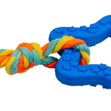 AqpetFriends Giochi Per Cani Smarty Stellina Con Corda