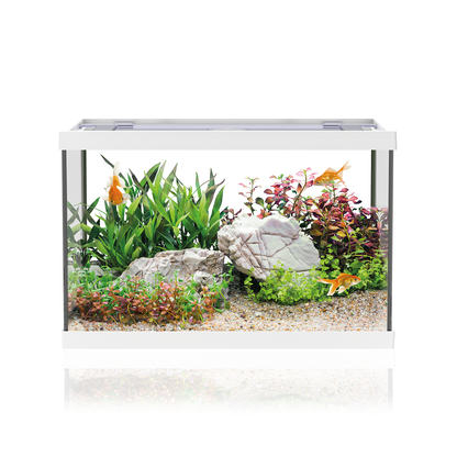 Aqpet One Mini Acquario Completo In Vetro Bianco