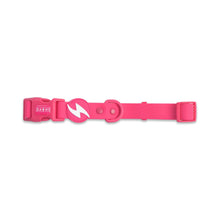 Dashi Colorflex Rosa/Pink Collare per Cani