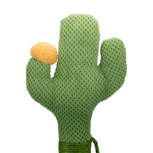 AqpetFriends Cactus Tiragraffi Per Gatti 54 Cm