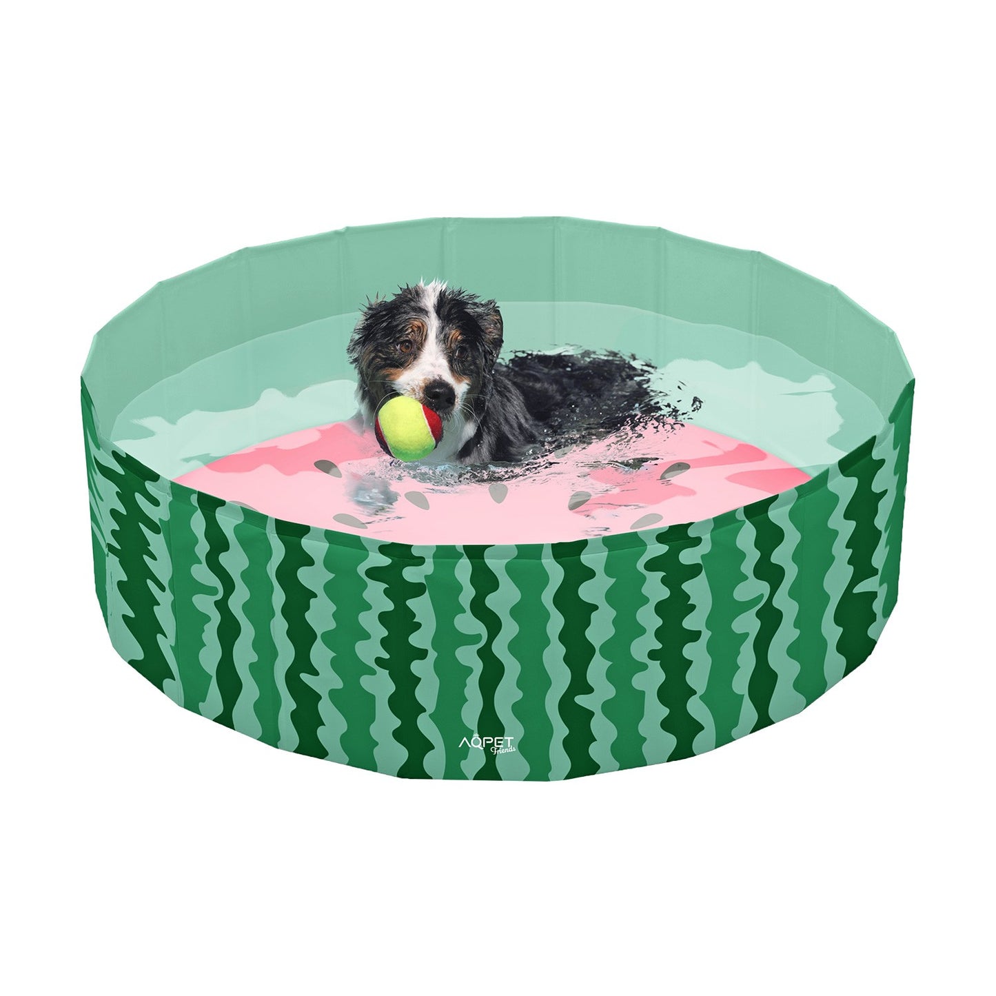 AqpetFriends Pool Piscina Per Cani Fruit
