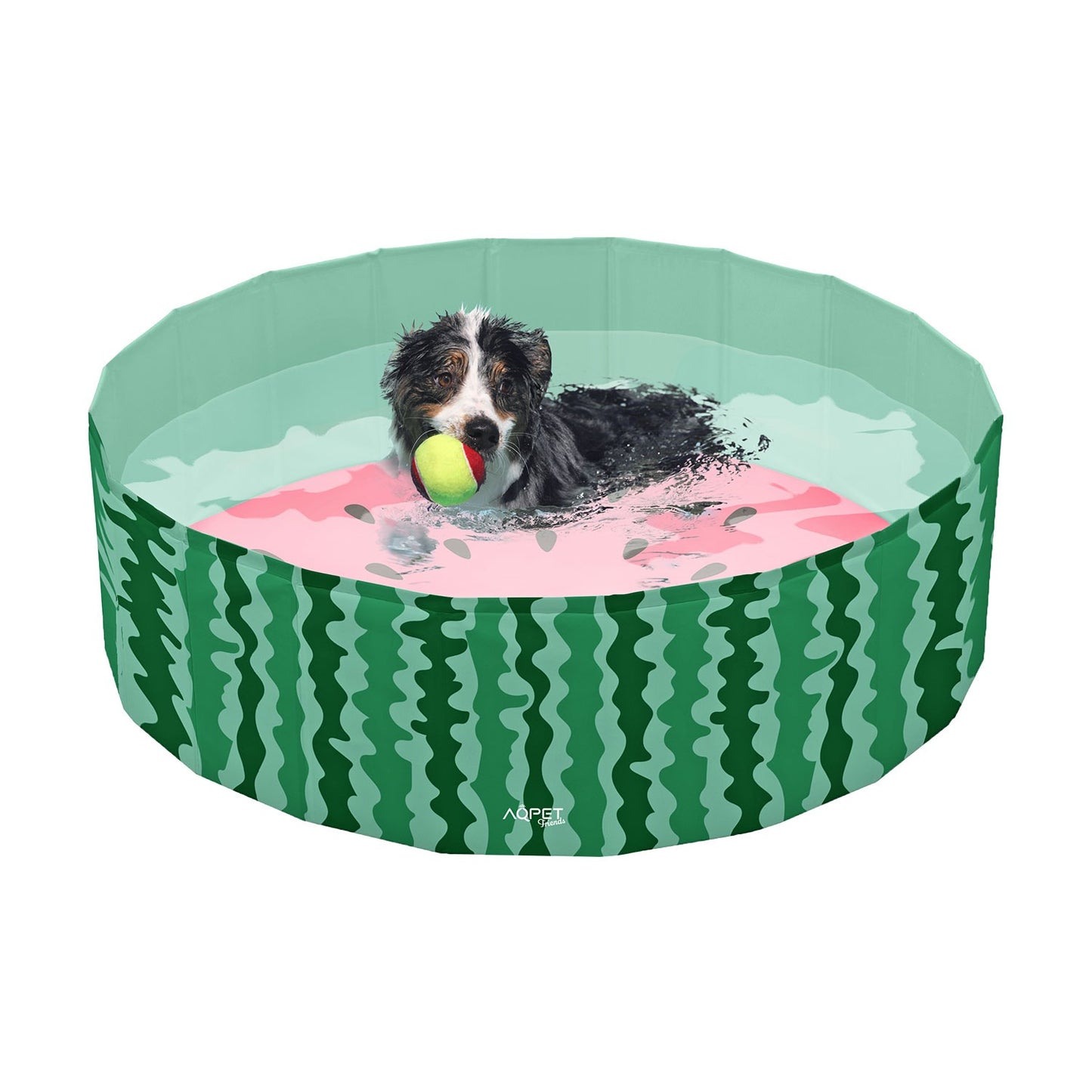 AqpetFriends Pool Piscina Per Cani Fruit