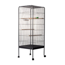 AqpetFriends Birdcage Voliera Completa Per Uccelli Misura 146X54X54 Cm