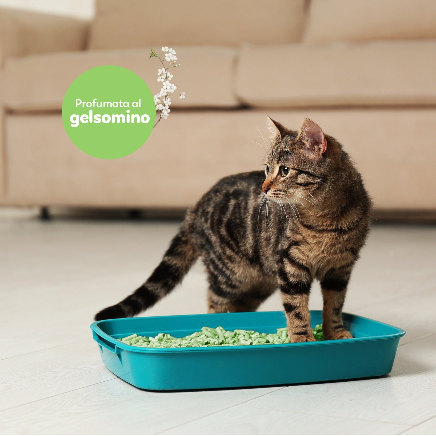 AqpetFriends Catty Green Lettiera Naturale per Gatti Alla Soia Fragranza Al Gelsomino 6 L