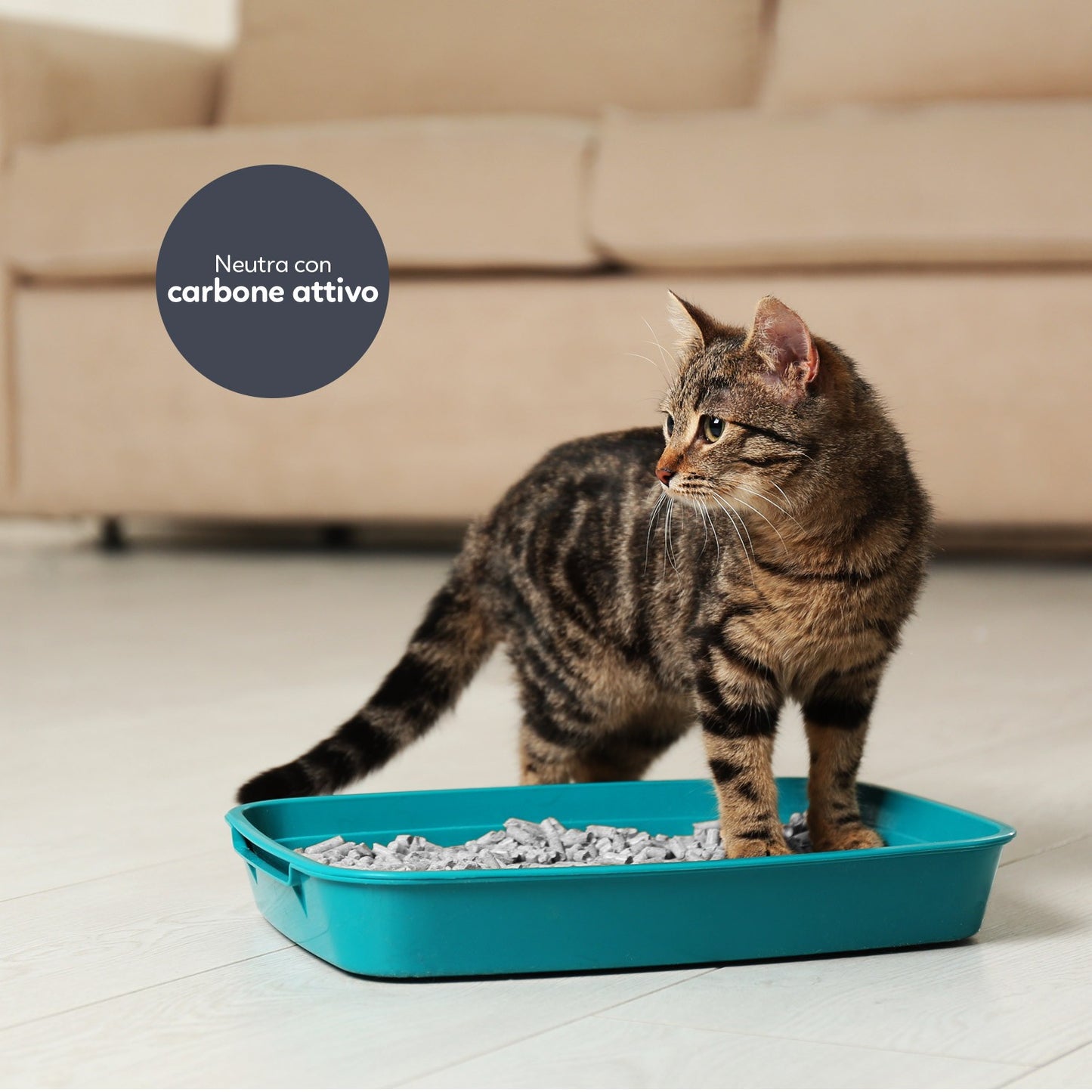AqpetFriends Catty Green Lettiera Naturale per Gatti Alla Soia Con Carbone Attivo 6 L
