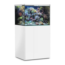 AquaMedic Armatus XD Series Acquario Marino Con Supporto E Sistema Di Filtraggio