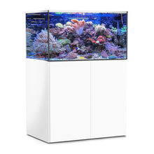 AquaMedic Armatus XD Series Acquario Marino Con Supporto E Sistema Di Filtraggio