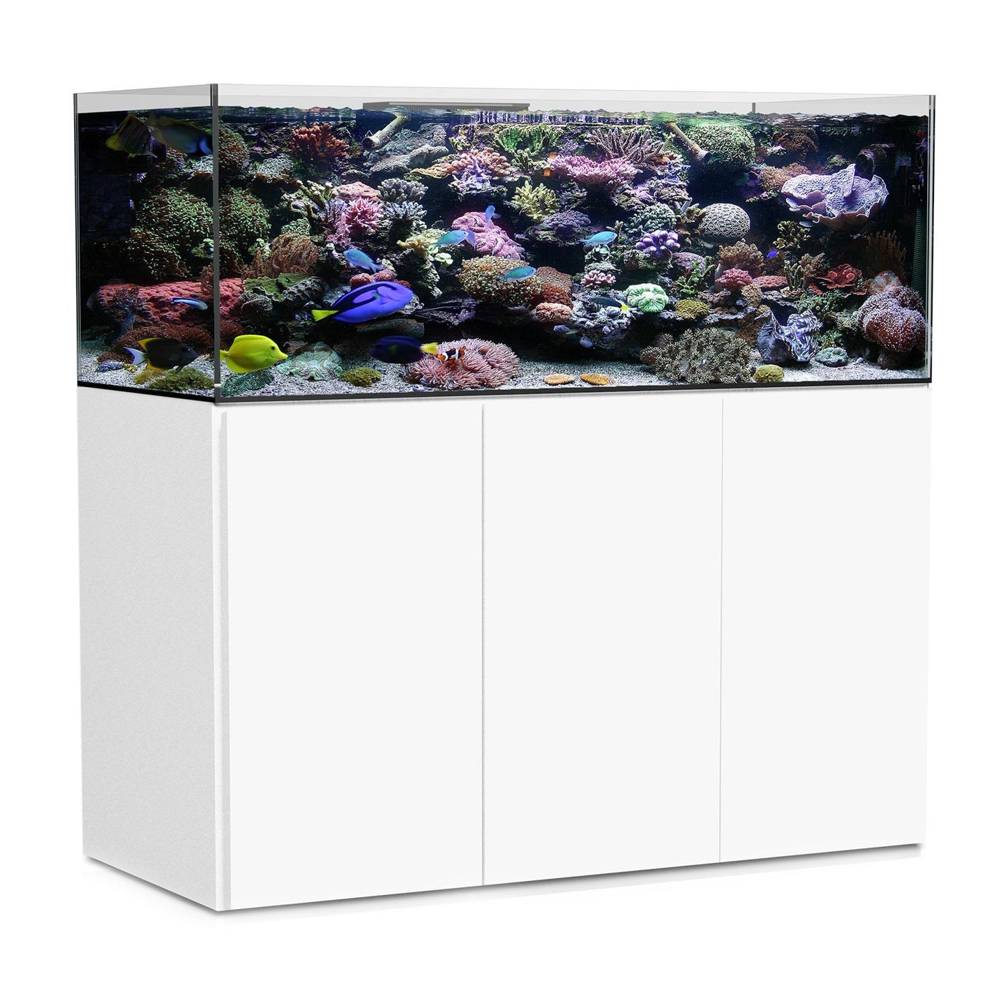 AquaMedic Armatus XD Series Acquario Marino Con Supporto E Sistema Di Filtraggio