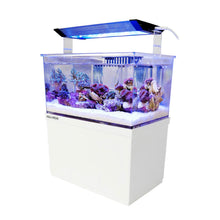 AquaMedic Armatus XS Micro Acquario All-in-One Con Filtro E Supporto