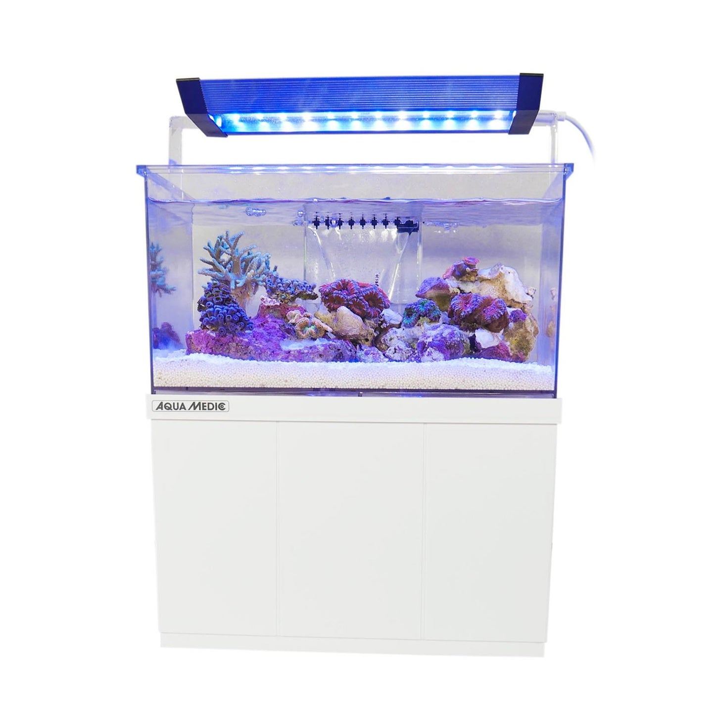 AquaMedic Armatus XS Micro Acquario All-in-One Con Filtro E Supporto