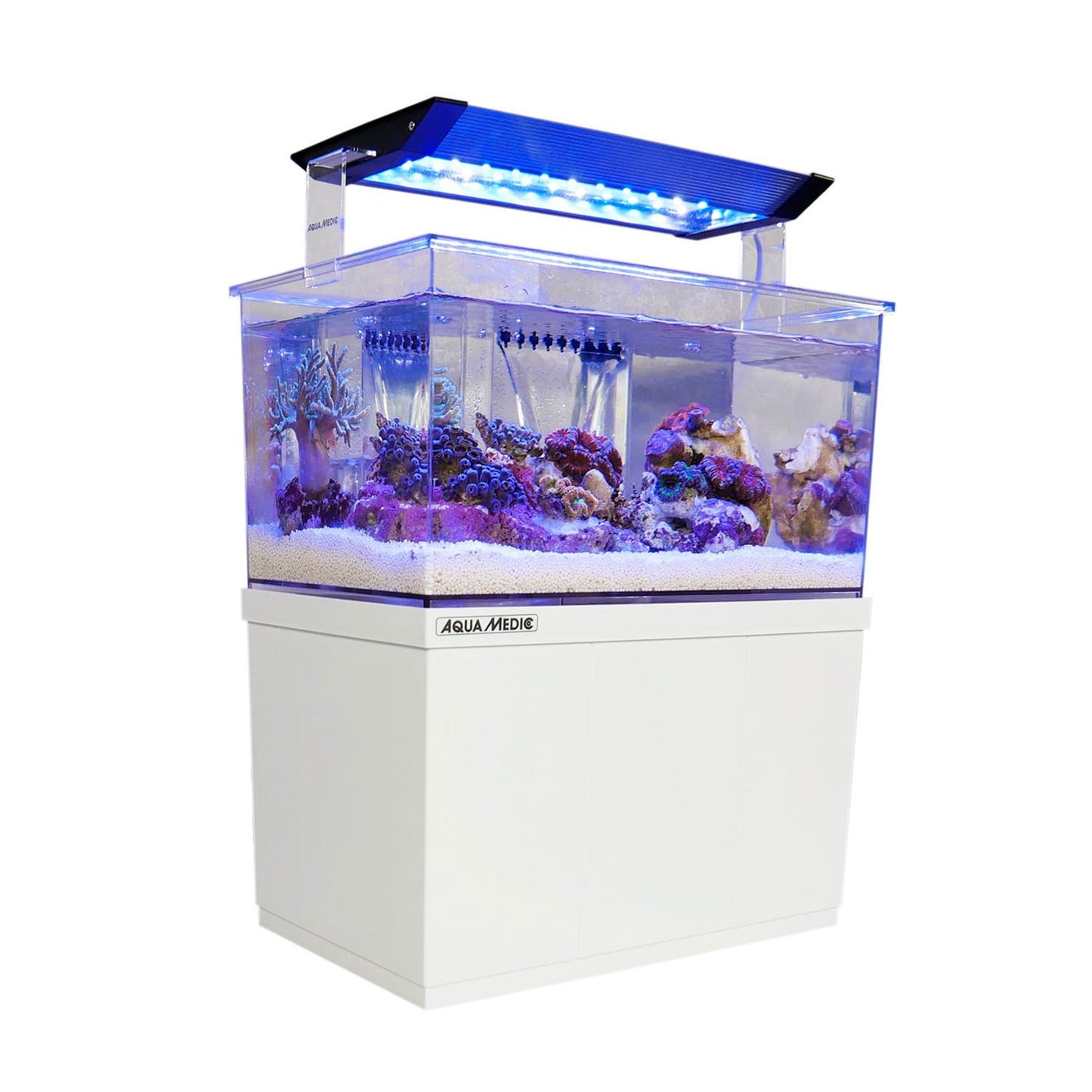 AquaMedic Armatus XS Micro Acquario All-in-One Con Filtro E Supporto