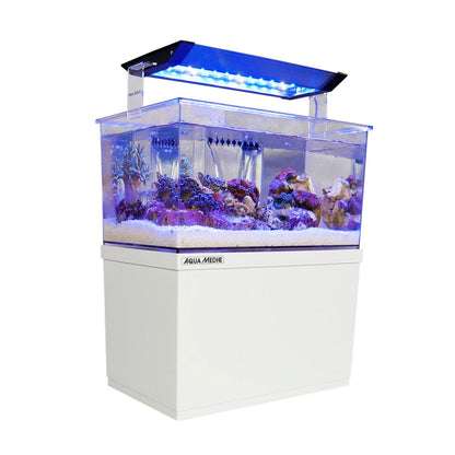 AquaMedic Armatus XS Micro Acquario All-in-One Con Filtro E Supporto