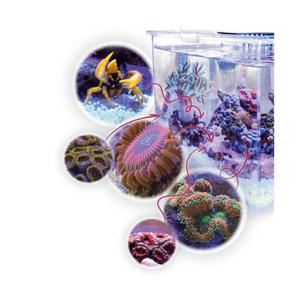 AquaMedic Armatus XS Micro Acquario All-in-One Con Filtro E Supporto
