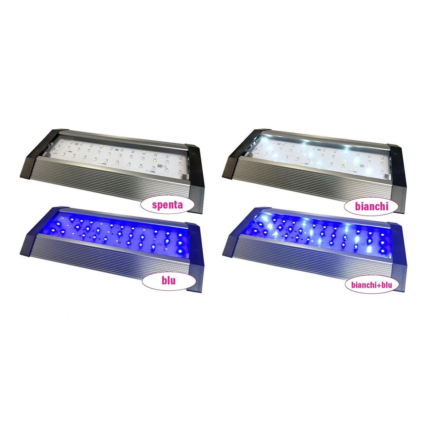 AquaMedic Armatus XS Micro Acquario All-in-One Con Filtro E Supporto