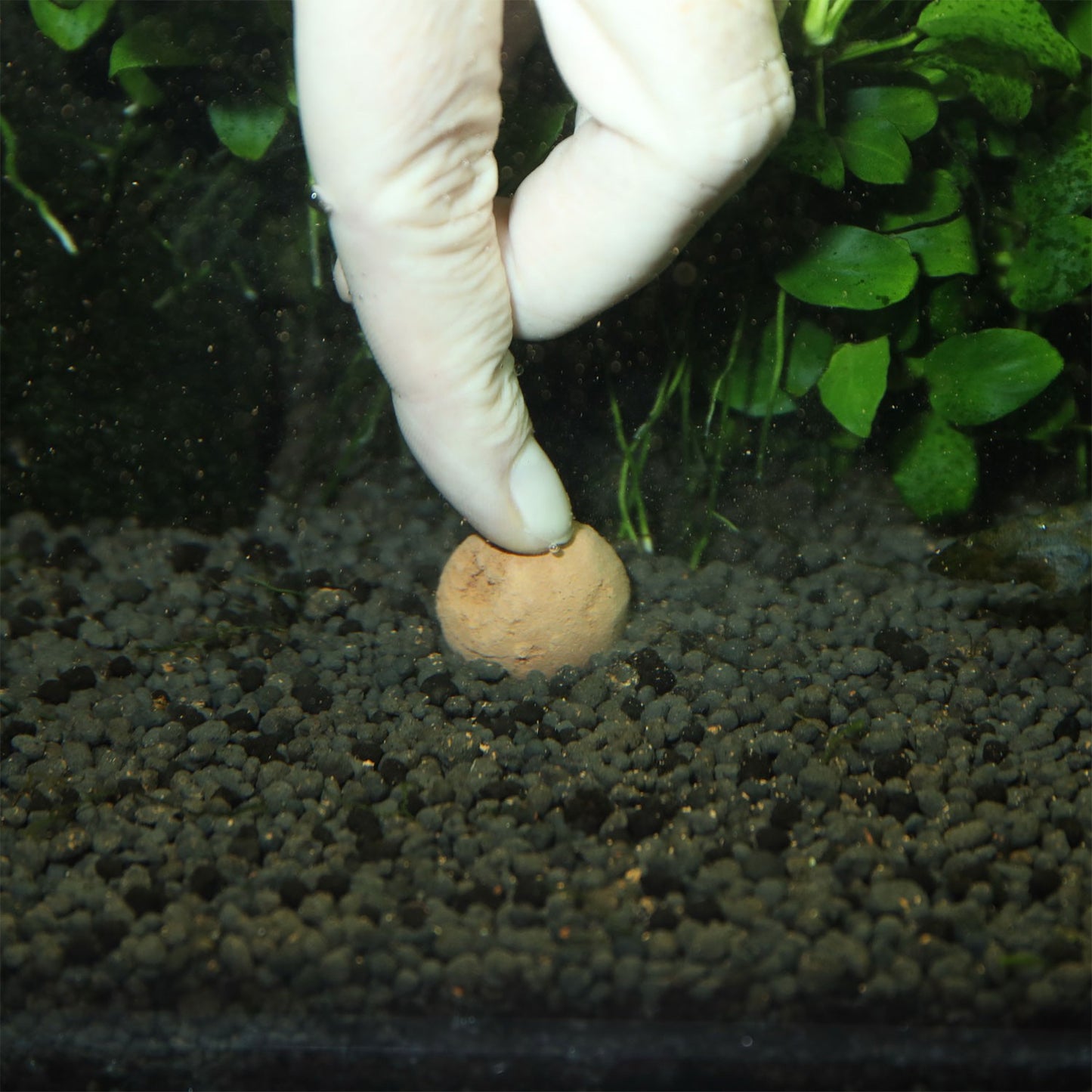 JBL Proflora Le 7 Sfere Fertilizzante Per Le Radici In Acquari D'acqua Dolce