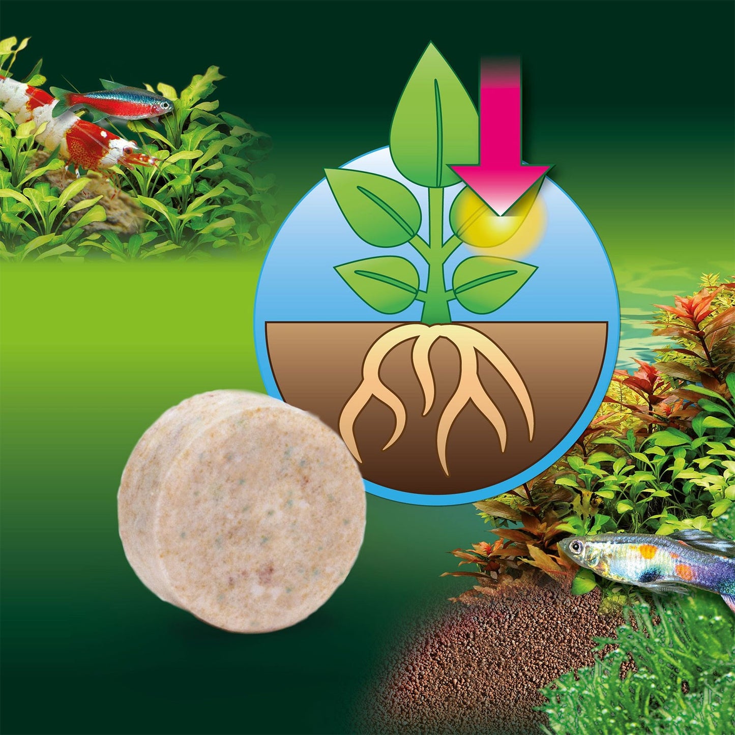 JBL Proflora Ferropol Tabs Fertilizzante Per Piante Acquatiche