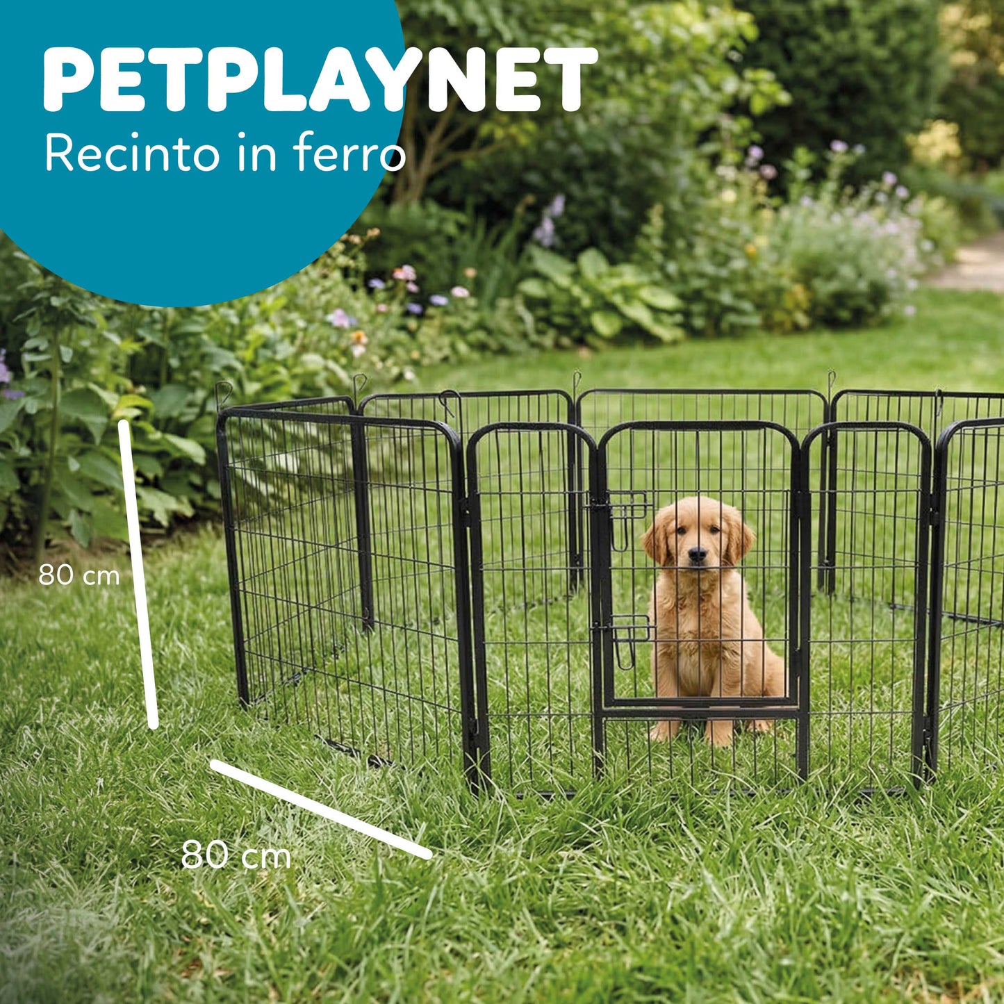 AqpetFriends Petplaypen Recinto Per Animali In Ferro Misura 80x80 cm