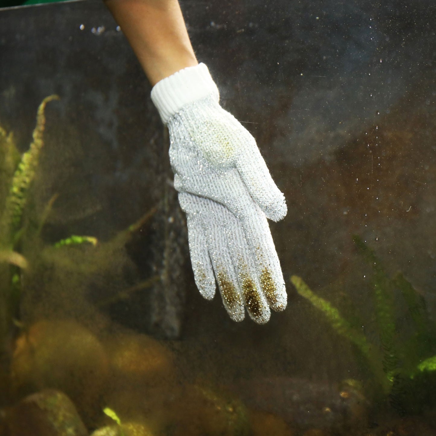 JBL PROSCAPE Guanto Pulitore Per La Pulizia Dell'Acquario