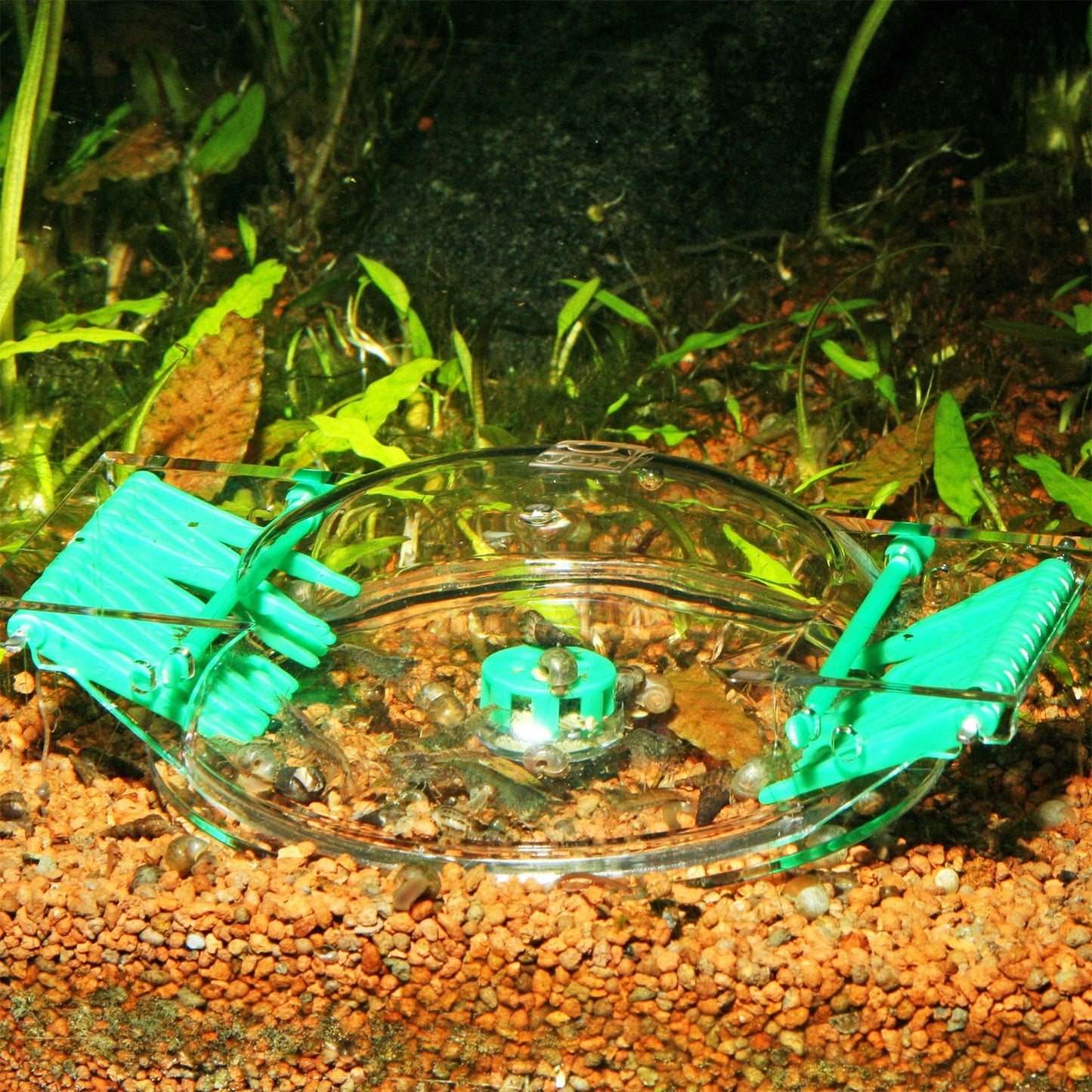 JBL LimCollect II Trappola Per Lumache Non Chimica Per Acquari