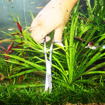 JBL PROSCAPE TOOL S20 Curved Forbice Da Potatura Curva Per Acquascaping In Acquario