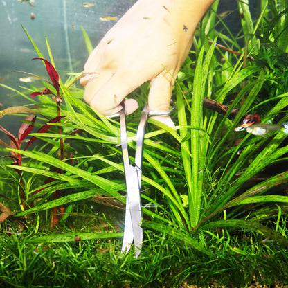 JBL PROSCAPE TOOL S30 Curved Forbice Da Potatura Curva Per Acquascaping In Acquario