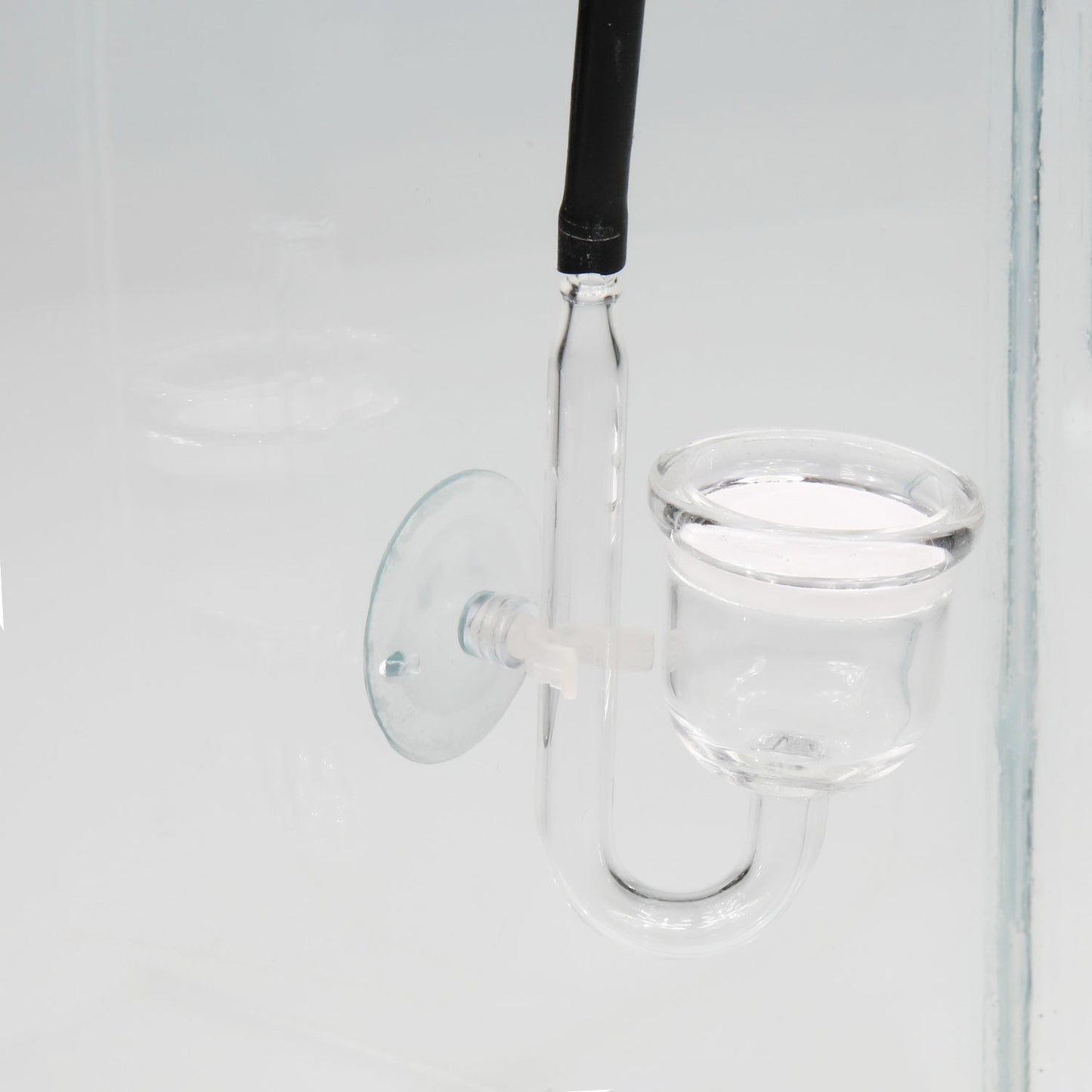 JBL PROFLORA CO2 Basic Set U Impianto Completo Di CO2 Per Acquari D'Acqua Dolce