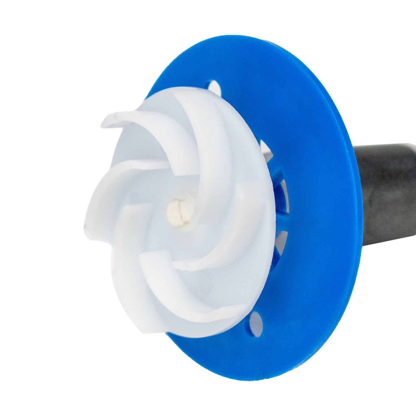 Aqpet Ricambio Girante Neptune Dc