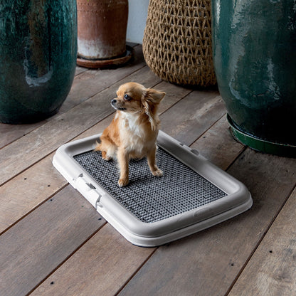 Stefanplast Lettiera Puppy Training per Cane