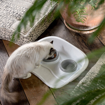 Stefanplast Set Dinner Cibo e Acqua Blu Acciaio/Stone Grey