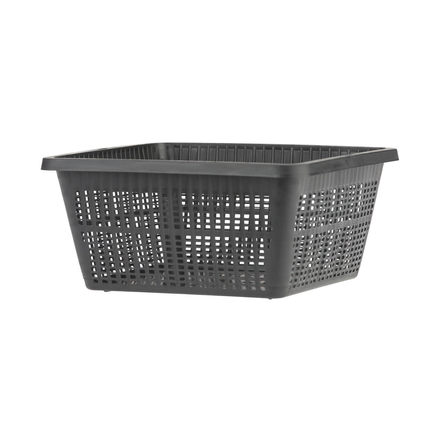 Oase Cestello Quadrangolare in Plastica per Piante Laghetto