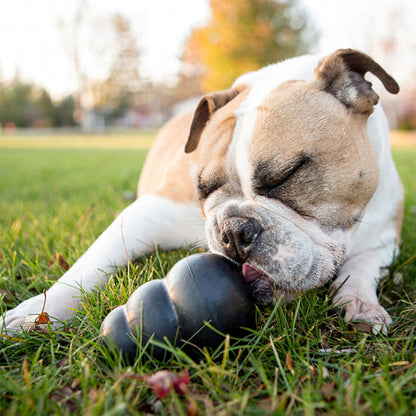 Kong Extreme Gioco in Gomma per Cani