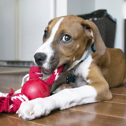 Kong Palla in Gomma con Corda Gioco per Cani