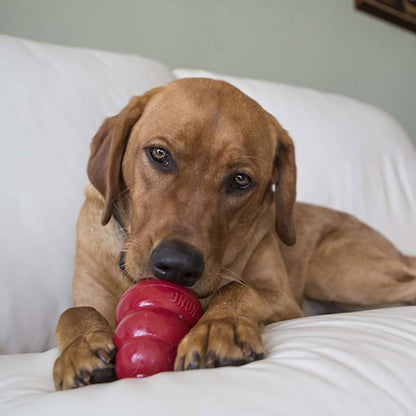 Kong Liver Snacks Biscottini per Cani