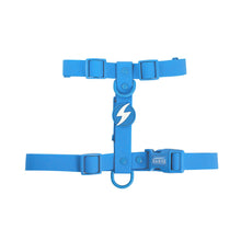 Dashi Colorflex Blu/Blue Pettorina ad H per Cani
